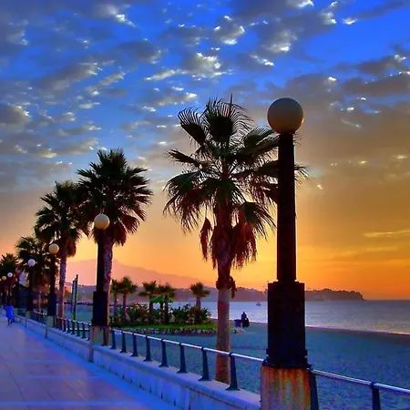 Rosas- Villas Andaluzas Estepona